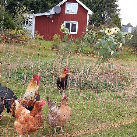 Stuga Asnagard Torsby Eksteriør billede
