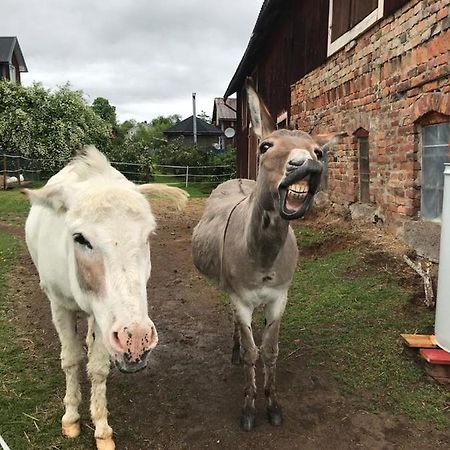 Stuga Asnagard Torsby Eksteriør billede