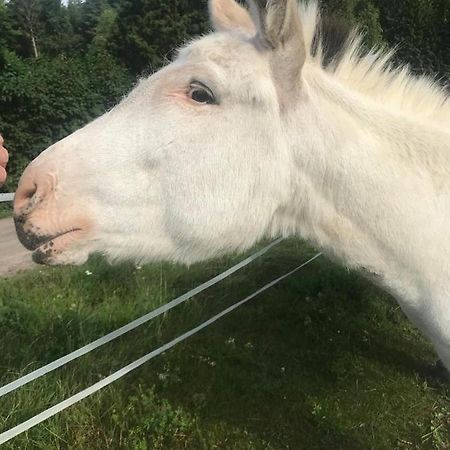 Stuga Asnagard Torsby Eksteriør billede