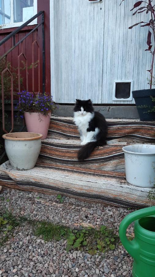 Stuga Asnagard Torsby Eksteriør billede