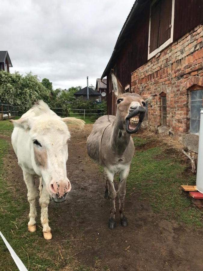 Stuga Asnagard Torsby Eksteriør billede